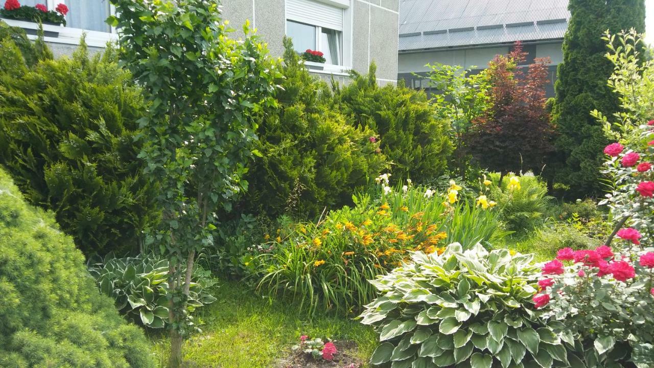 Apartament Jutrzenka Spytkowice  Exterior photo